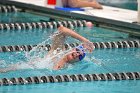 Swimming & Diving vs Babson  Swimming & Diving vs Babson College. - Photo by Keith Nordstrom : Wheaton, Swimming